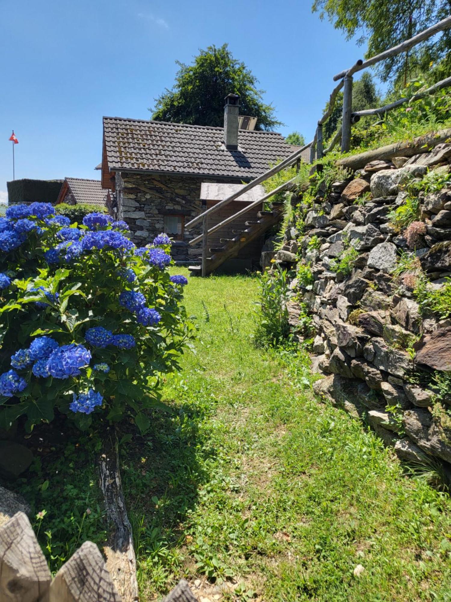 Casa Poiana Villa Ronco sopra Ascona Bagian luar foto