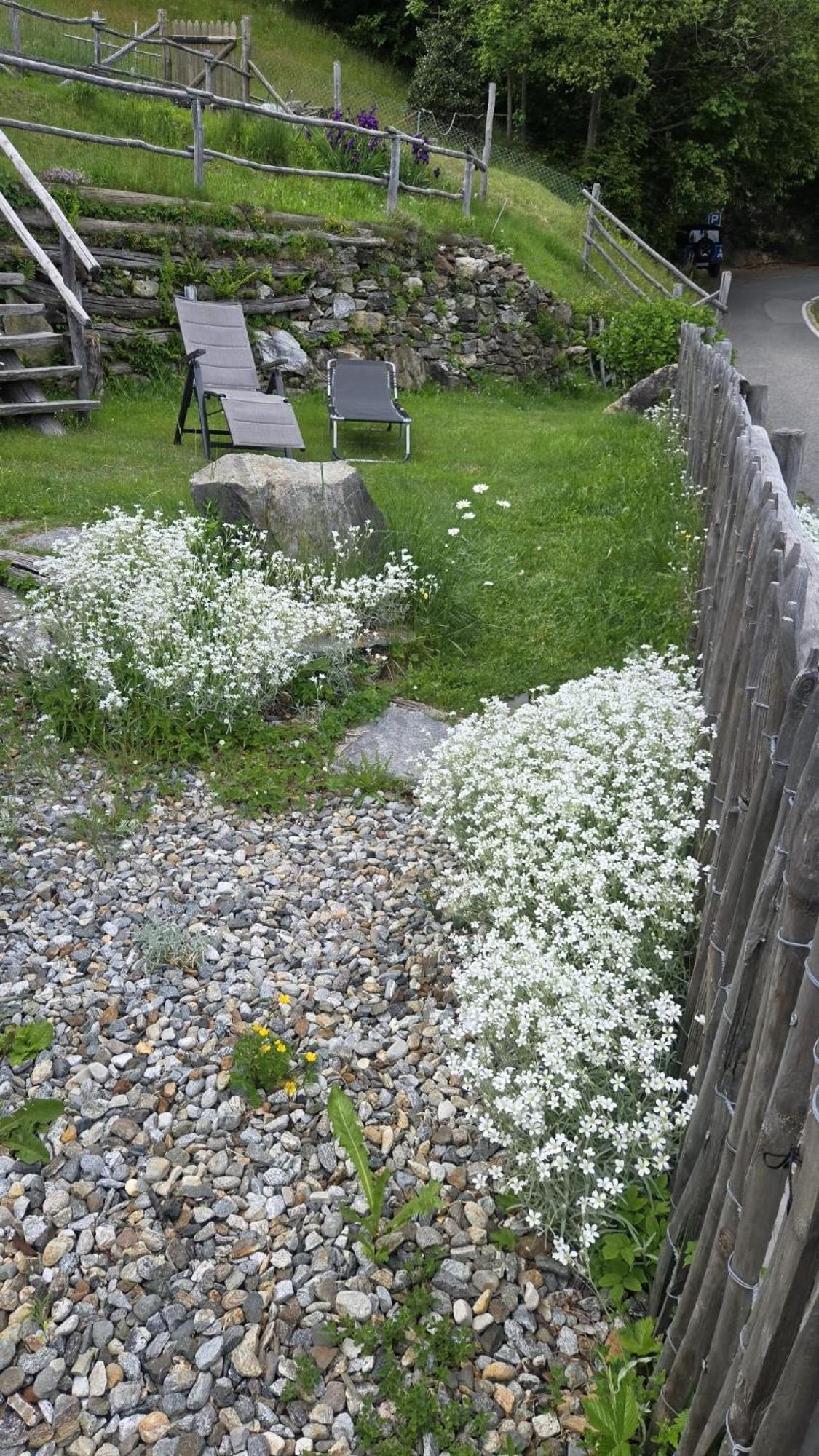 Casa Poiana Villa Ronco sopra Ascona Ruang foto